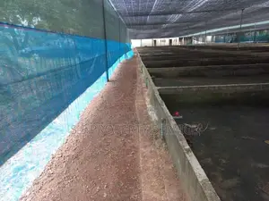 230 pearch land with ongoing fish farm for sale in Katunayaka (SSPL-37