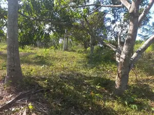 230 pearch land with ongoing fish farm for sale in Katunayaka (SSPL-37