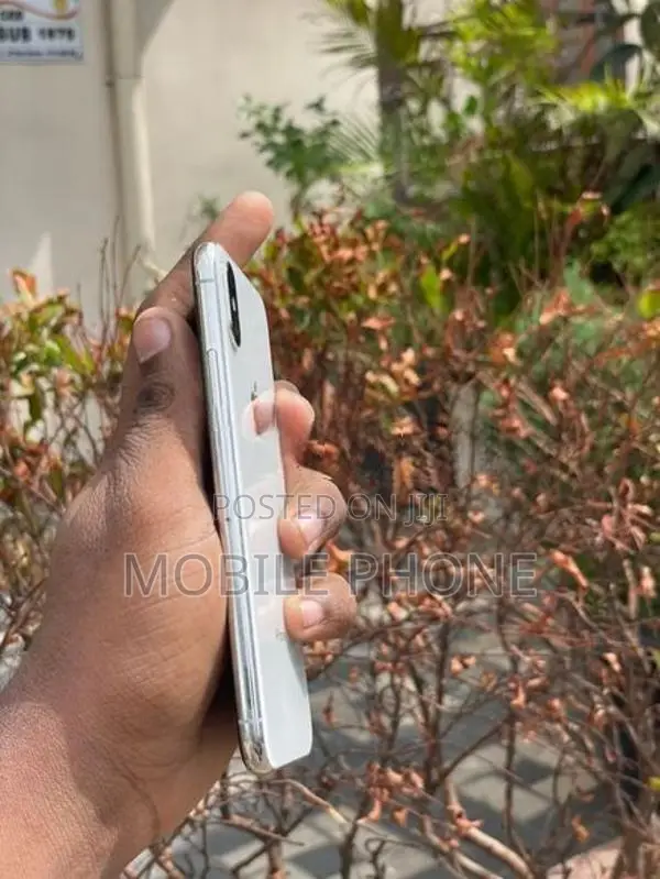Apple iPhone X 256GB (Used)