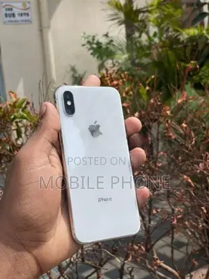 Apple iPhone X 256GB (Used)