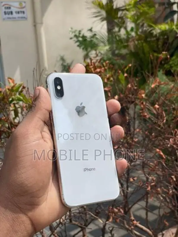 Apple iPhone X 256GB (Used)