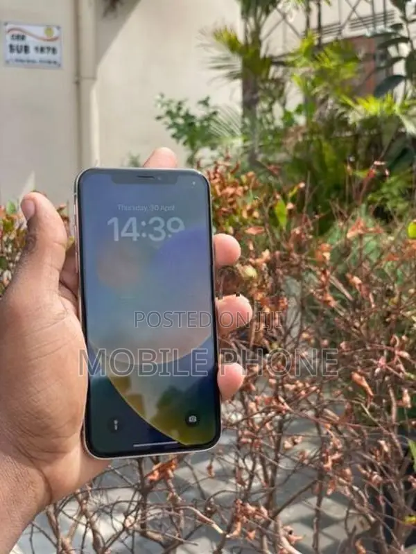 Apple iPhone X 256GB (Used)