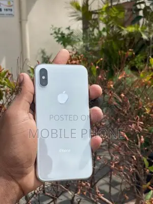 Apple iPhone X 256GB (Used)