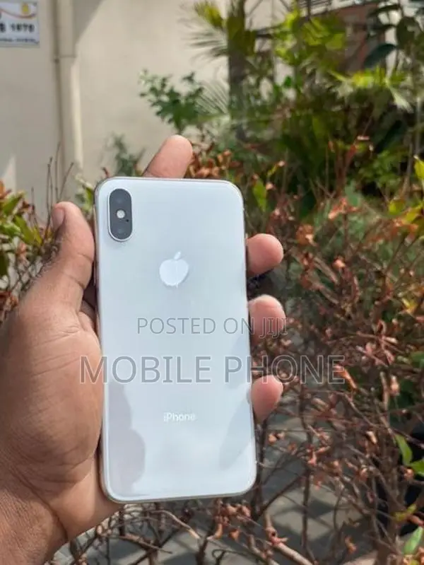 Apple iPhone X 256GB (Used)