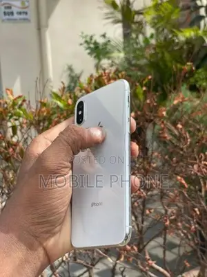 Apple iPhone X 256GB (Used)