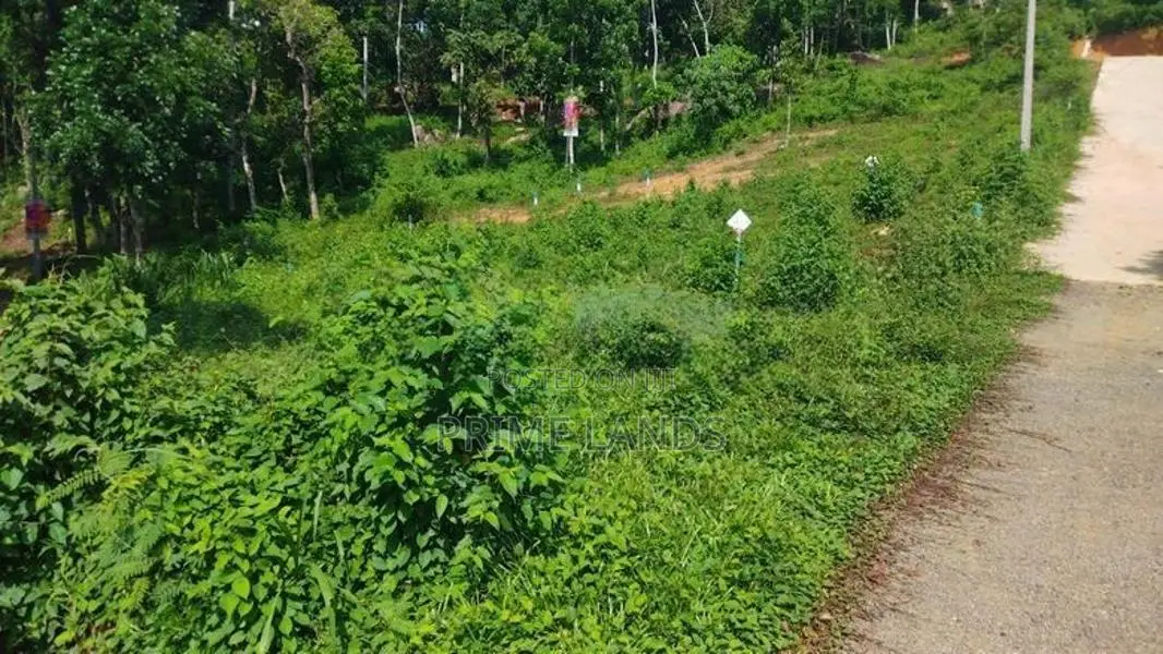 Land For Sale In Nelumdeniya