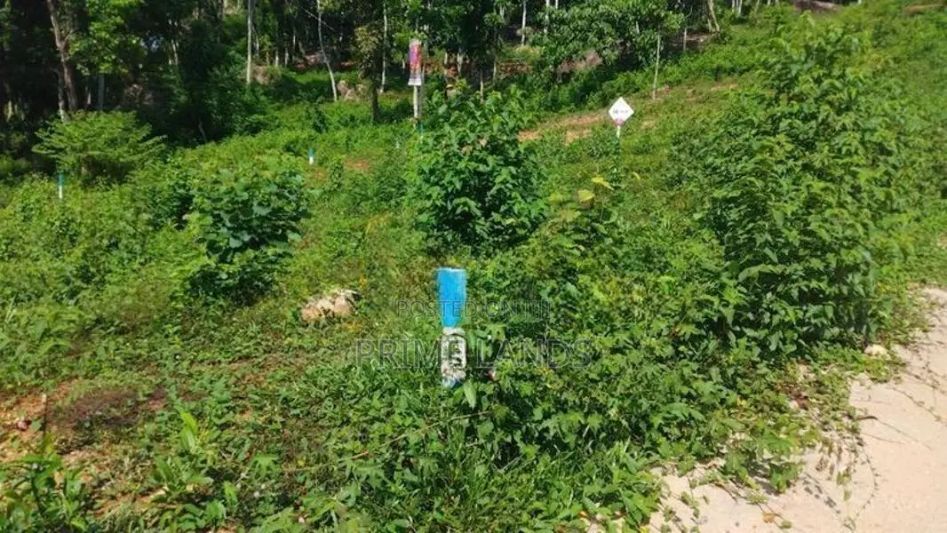 Land For Sale In Nelumdeniya