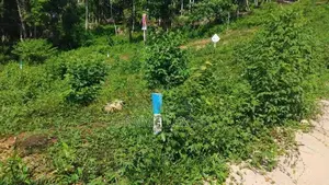 Land For Sale In Nelumdeniya