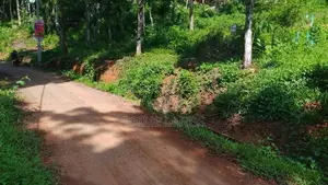 Residential Land For Sale In Nelumdeniya