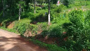 Residential Land For Sale In Nelumdeniya