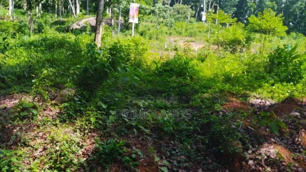 Residential Land For Sale In Nelumdeniya