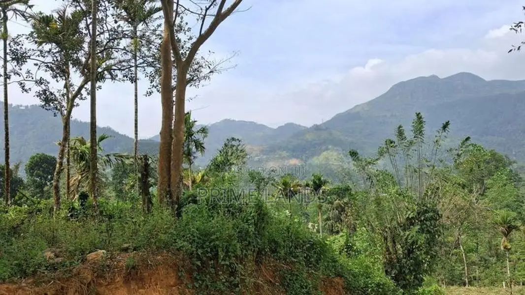Residential Land For Sale In Nawalapitiya Balantota
