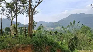Residential Land For Sale In Nawalapitiya Balantota