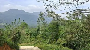 Residential Land For Sale In Nawalapitiya Balantota