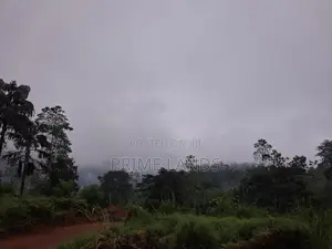 Land For Sale In Nawalapitiya Balantota