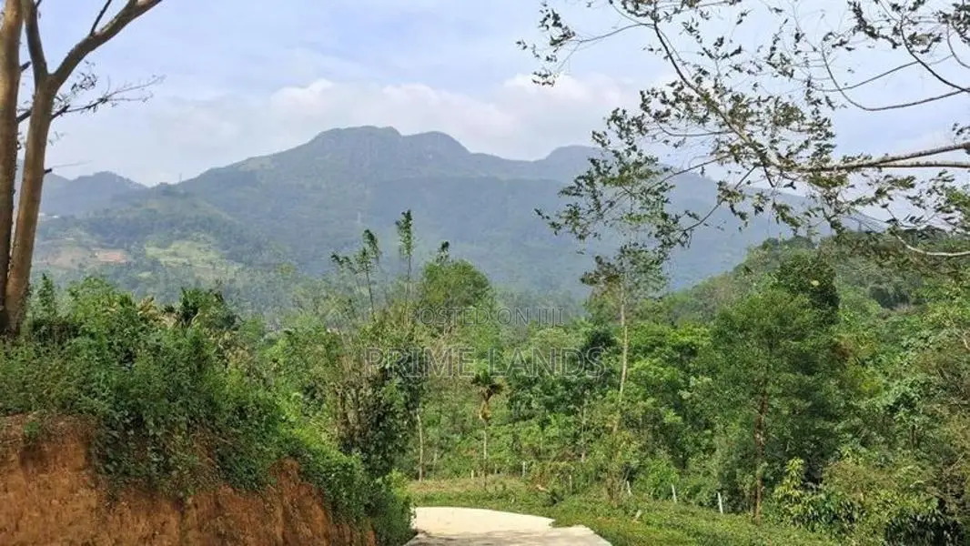Residential Land For Sale In Nawalapitiya Balantota