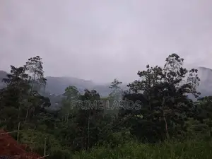Land For Sale In Nawalapitiya Balantota