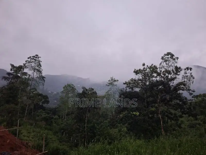 Land For Sale In Nawalapitiya Balantota