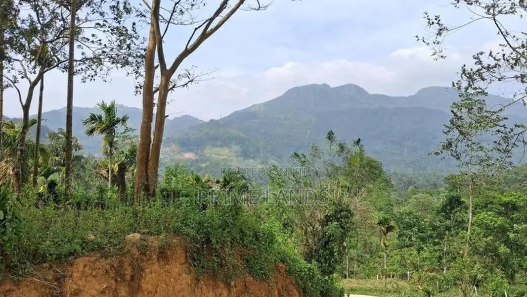 Residential Land For Sale In Nawalapitiya Balantota