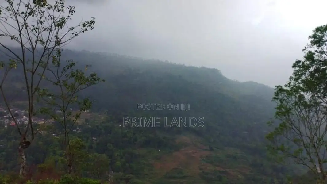 Land For Sale In Pussellawa