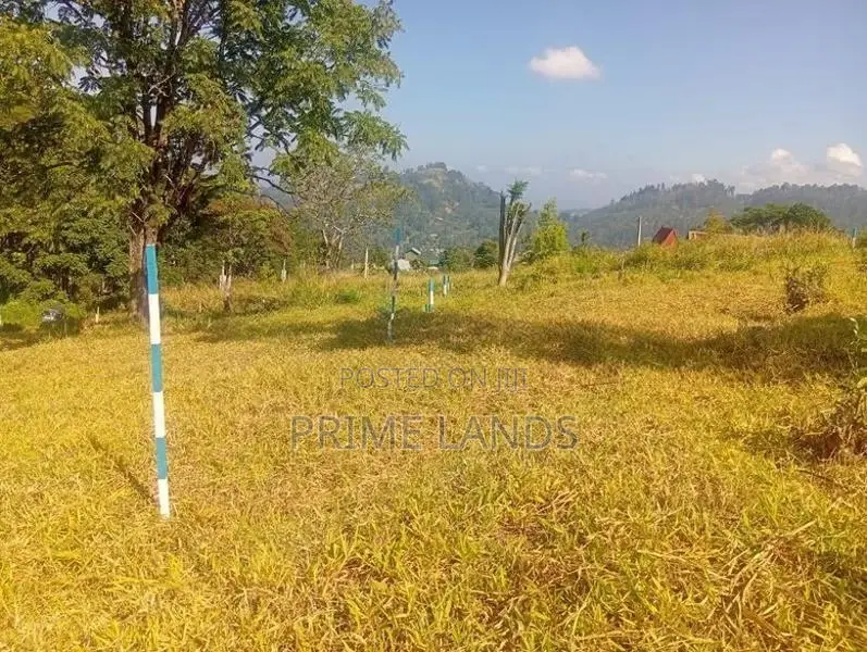 Land For Sale In Pussellawa