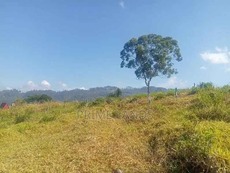 Land For Sale In Pussellawa