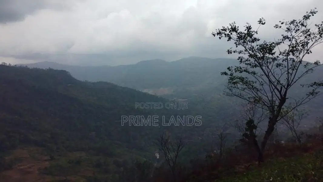 Land For Sale In Pussellawa