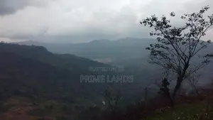 Land For Sale In Pussellawa