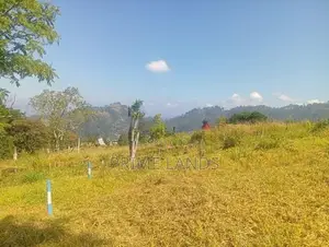 Land For Sale In Pussellawa
