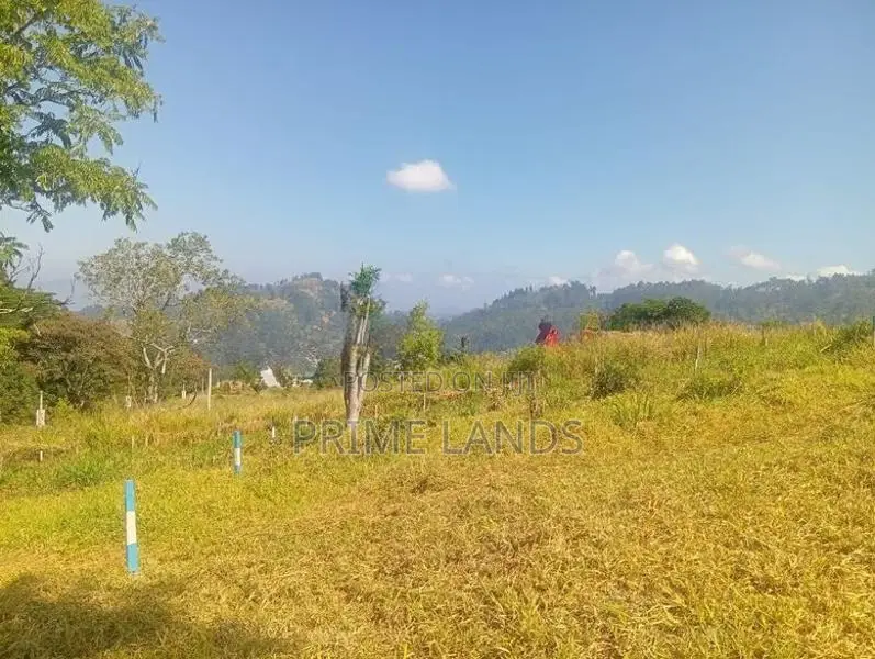 Land For Sale In Pussellawa
