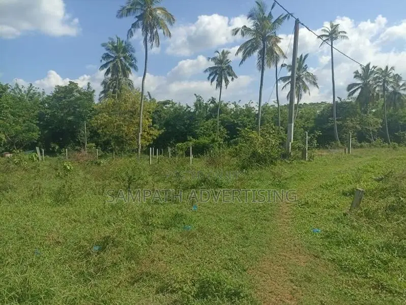 Land for Sale in Rangama