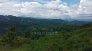 Land For Sale In Pussellawa