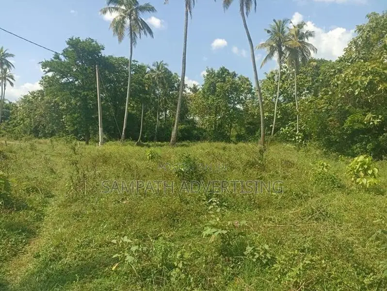 Land for Sale in Rangama