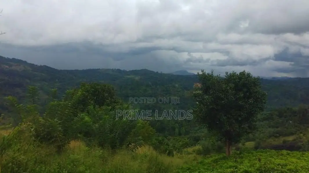 Land For Sale In Pussellawa