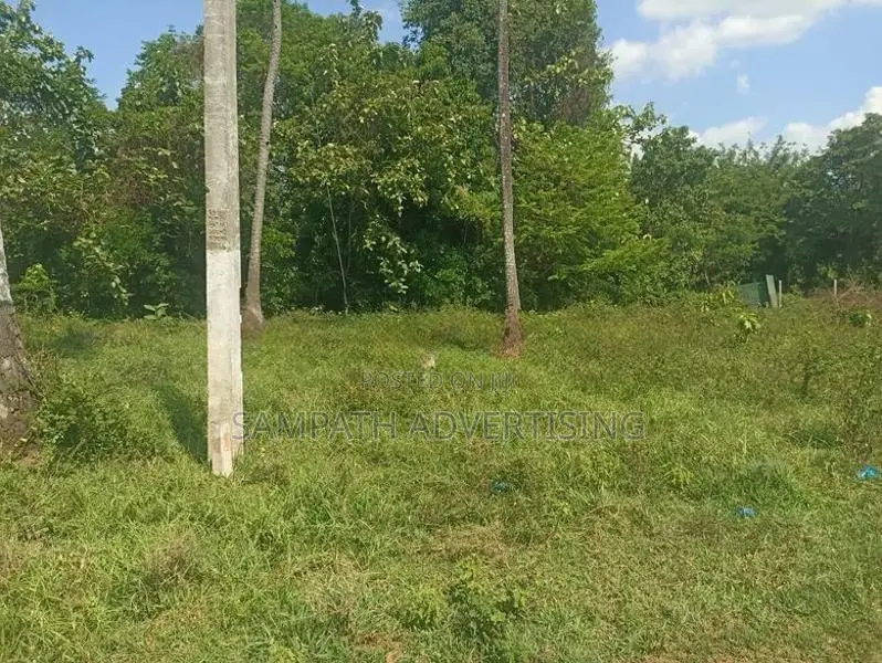 Land for Sale in Rangama