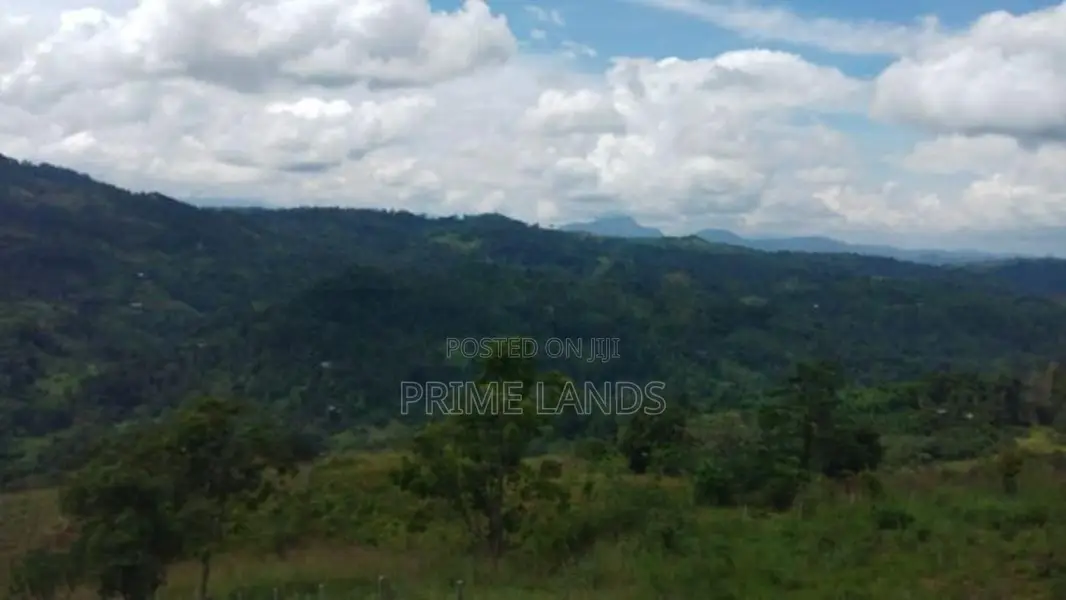 Land For Sale In Pussellawa