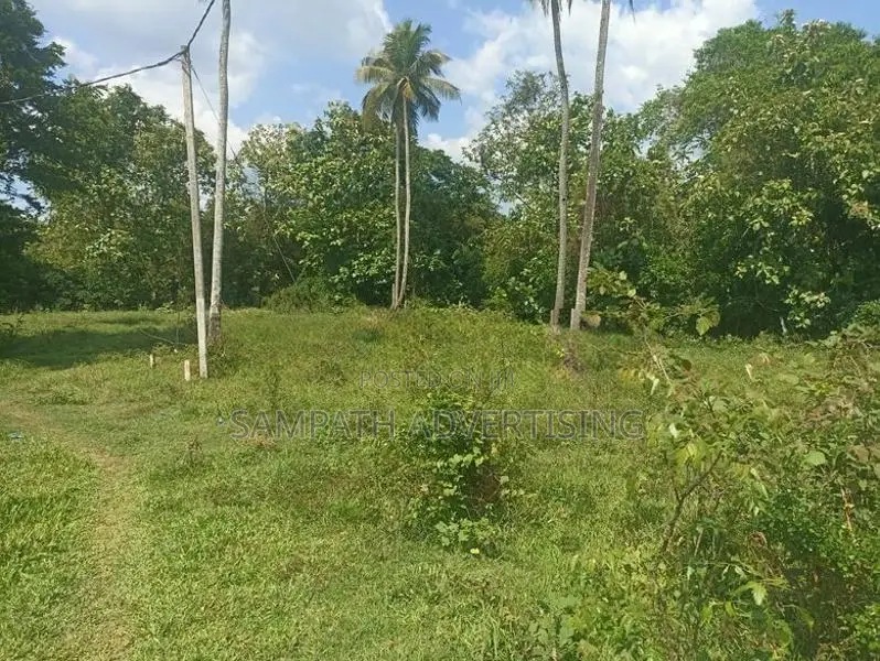 Land for Sale in Rangama