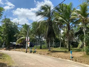 මීගමුව මීරිගම පාරෙන් වටිනා නේවාසික ඉඩම්