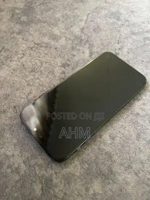 Apple iPhone 12 Pro 256GB (Used)