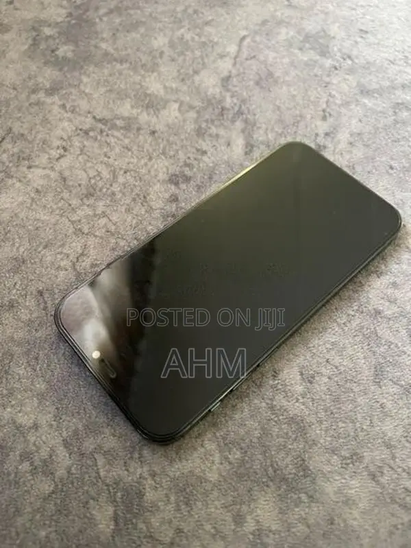 Apple iPhone 12 Pro 256GB (Used)