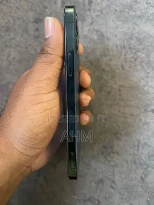Apple iPhone 12 Pro 256GB (Used)