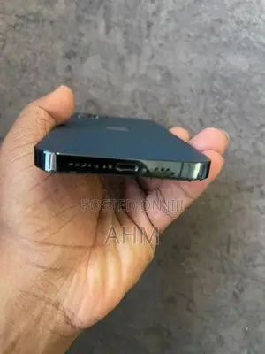 Apple iPhone 12 Pro 256GB (Used)