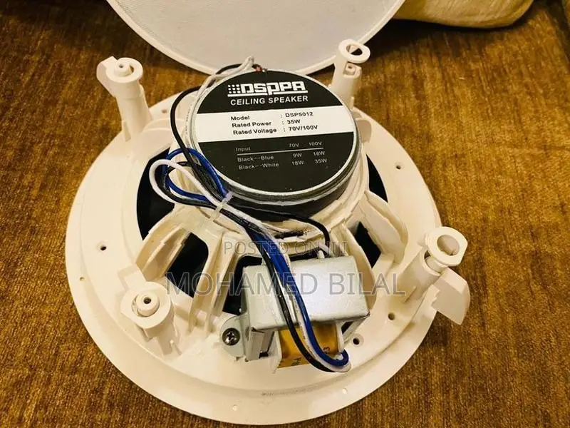 Ceiling Speaker