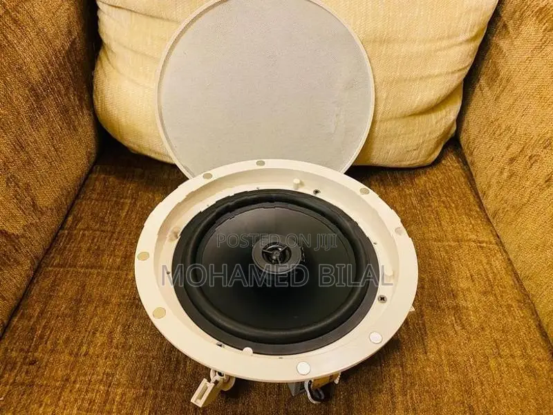 Ceiling Speaker