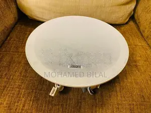 Ceiling Speaker