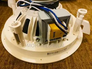 Ceiling Speaker