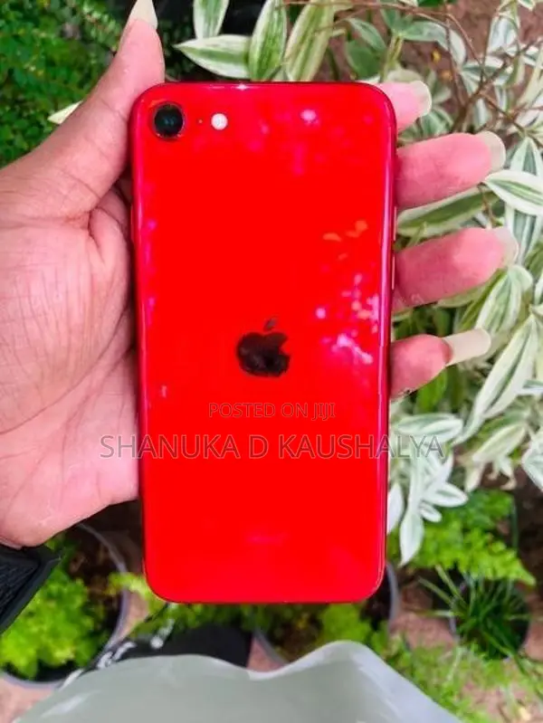 Apple iPhone SE (Used)