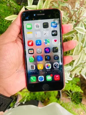 Apple iPhone SE (Used)