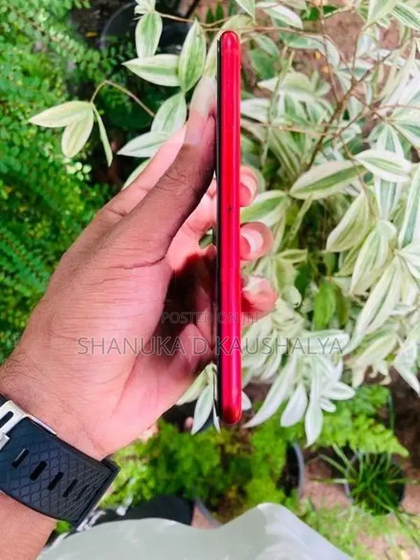 Apple iPhone SE (Used)