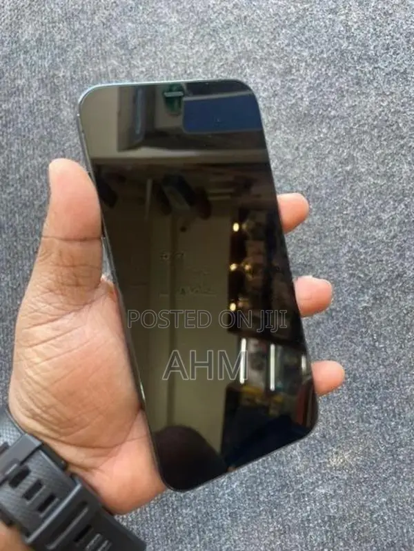 Apple iPhone 12 Pro Max 256GB (Used)